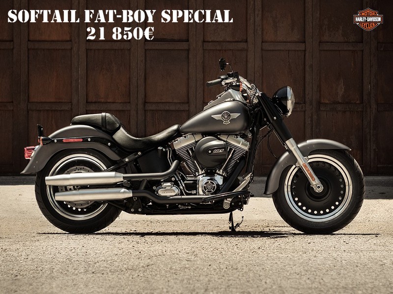 Les Softail Harley Davidson Par Passion Harley®